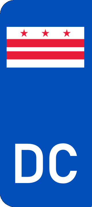 Washington DC Euro Flag